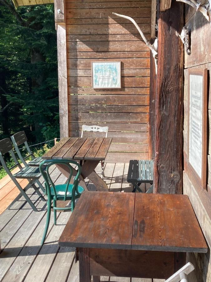 Charmante Gaestewohnung In Altem Bauernhaus In Alpiner Alleinlage Stanz Im Murztal Bagian luar foto