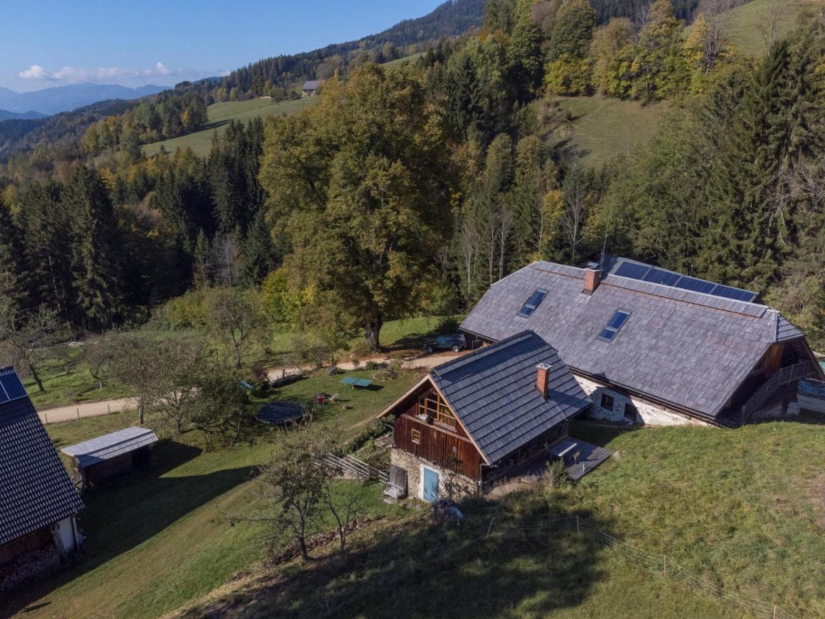 Charmante Gaestewohnung In Altem Bauernhaus In Alpiner Alleinlage Stanz Im Murztal Bagian luar foto